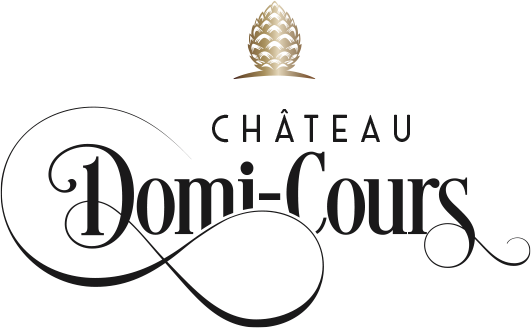 Logo Domi-Cours